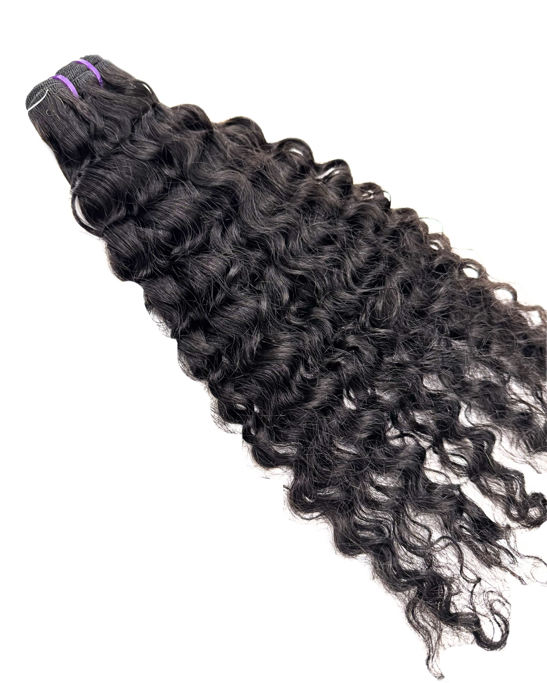 Burmese Curly