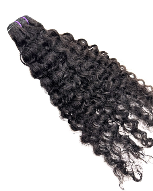 Burmese Curly